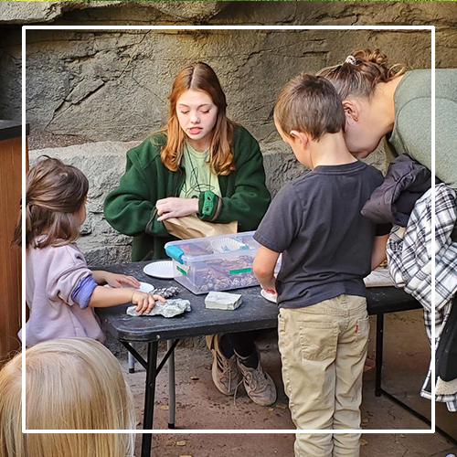 SAGE participant interacting with families in the Childrens Garden